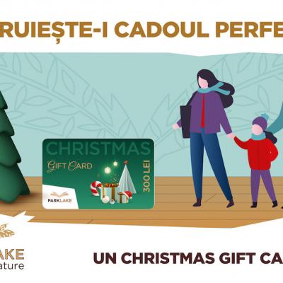 ParkLake te invită să celebrezi Crăciunul cu un cadou perfect pentru cei dragi