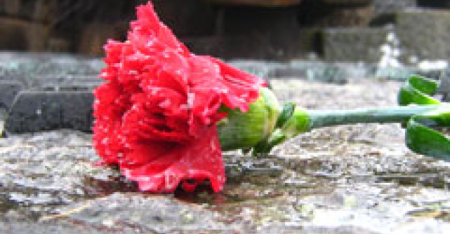 Depresia ca boala si nu ca moft!