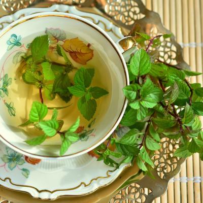 Ceaiul de mentă - beneficii și proprietăți pentru sănătate