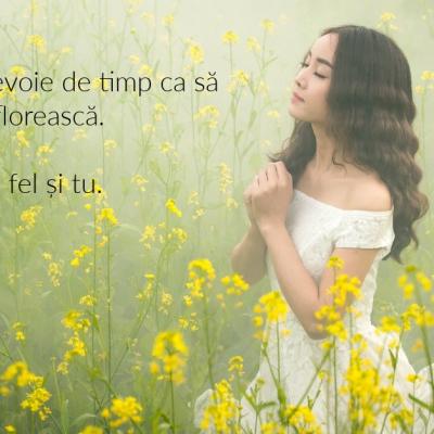 Imagini cu flori. Natura are cea mai bună cutie de culori 