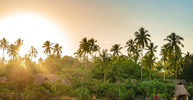 Tanzania: O destinație fascinantă în inima Africii plină de delicii culinare la orice pas!