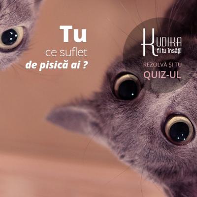 Quiz: Tu ce tip de pisica esti?