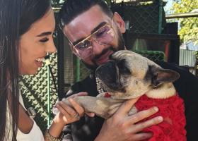 Dorian Popa și soția lui, Andreea, au adoptat un bulldog francez după moartea lui Cheluțu. Povestea emoționantă a Donei