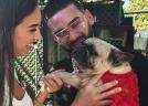 Dorian Popa și soția lui, Andreea, au adoptat un bulldog francez după moartea lui Cheluțu. Povestea emoționantă a Donei