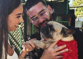 Dorian Popa și soția lui, Andreea, au adoptat un bulldog francez după moartea lui Cheluțu. Povestea emoționantă a Donei
