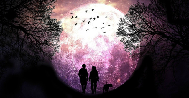 De ce are nevoie fiecare semn zodiacal în săptămâna 13-19 iulie?