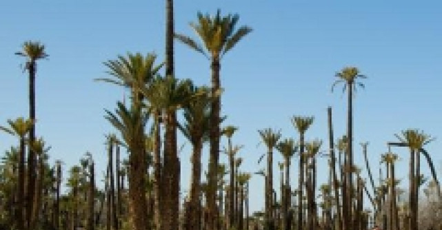 Descopera noul Egipt - din 20 august!