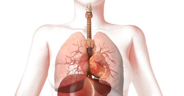 Detoxifierea naturala a ficatului: 5 alimente minune pentru ficat