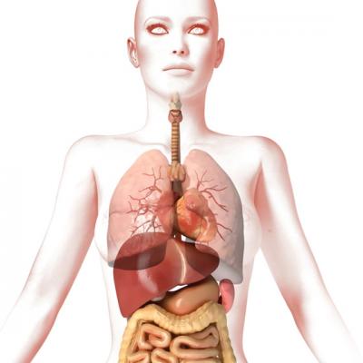 Detoxifierea naturala a ficatului: 5 alimente minune pentru ficat