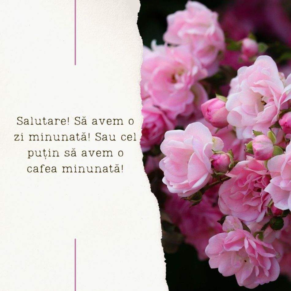O zi frumoasă: Spune-i bună dimineața la cafea cu urări  DE BUNĂ DIMINEAȚA