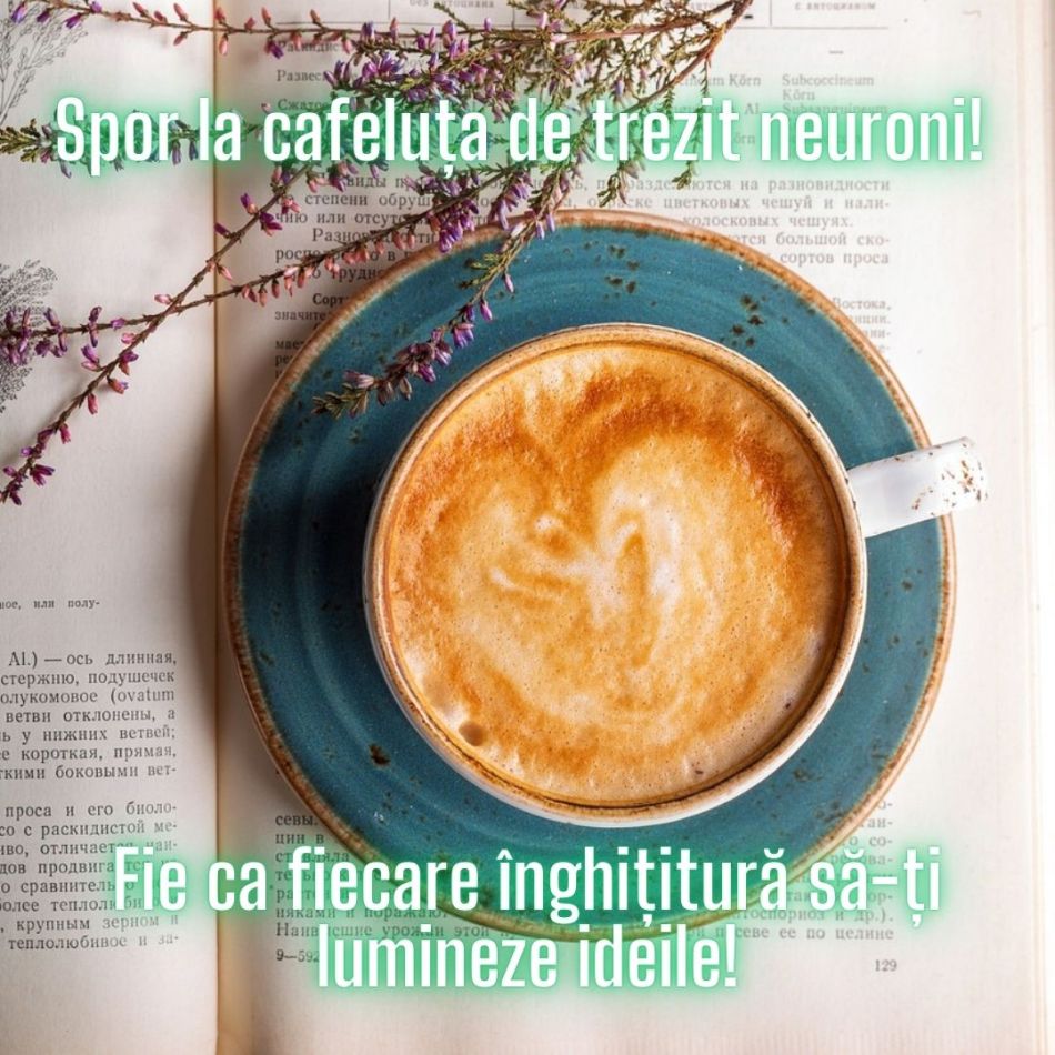 Mesaje amuzante de dimineață de tipul „spor la cafeluță” pe care să le trimiți apropiaților! 
