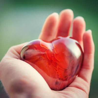 Puterea vindecătoare a citatelor din operele lui Nicolae Steinhardt