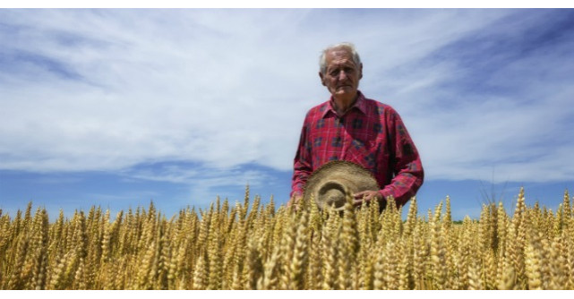 Ce ar fi viata daca nu am avea curajul sa riscam ceva?