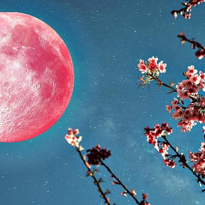 Cele trei zodii favorizate de Super Luna Roz, prima lună plină a primăverii