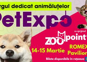 Produse smart și high-tech, concursuri cu premii și activități pentru animalele de companie, weekendul acesta la Romexpo