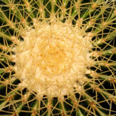 Uimitor: 80% dintre persoanele intre 15 si 59 de ani sunt afectate de fisuri anale