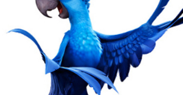 (P) Kinder Joy iese la joaca vara aceasta