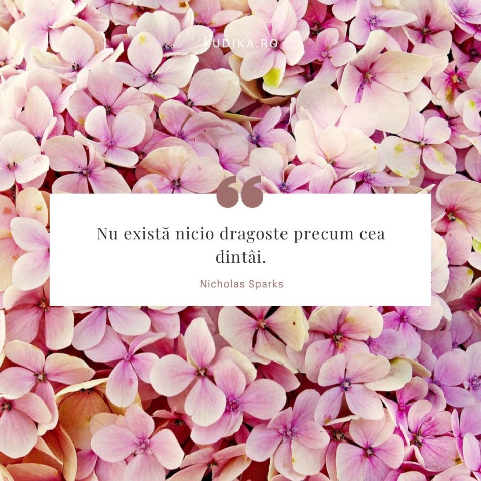Adevărata dragoste este rară și este singurul lucru care dă vieții sens – 20 de citate despre iubire de Nicholas Sparks