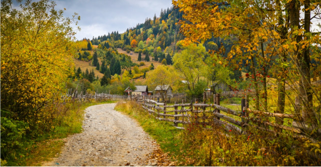 Vindecare spirituală: sedință de meditație în curtea de la țară