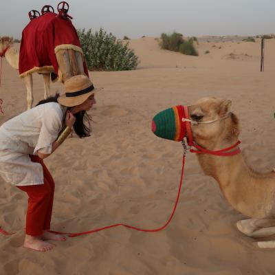 Turist în Dubai: Secrete și trucuri pour les connaisseurs