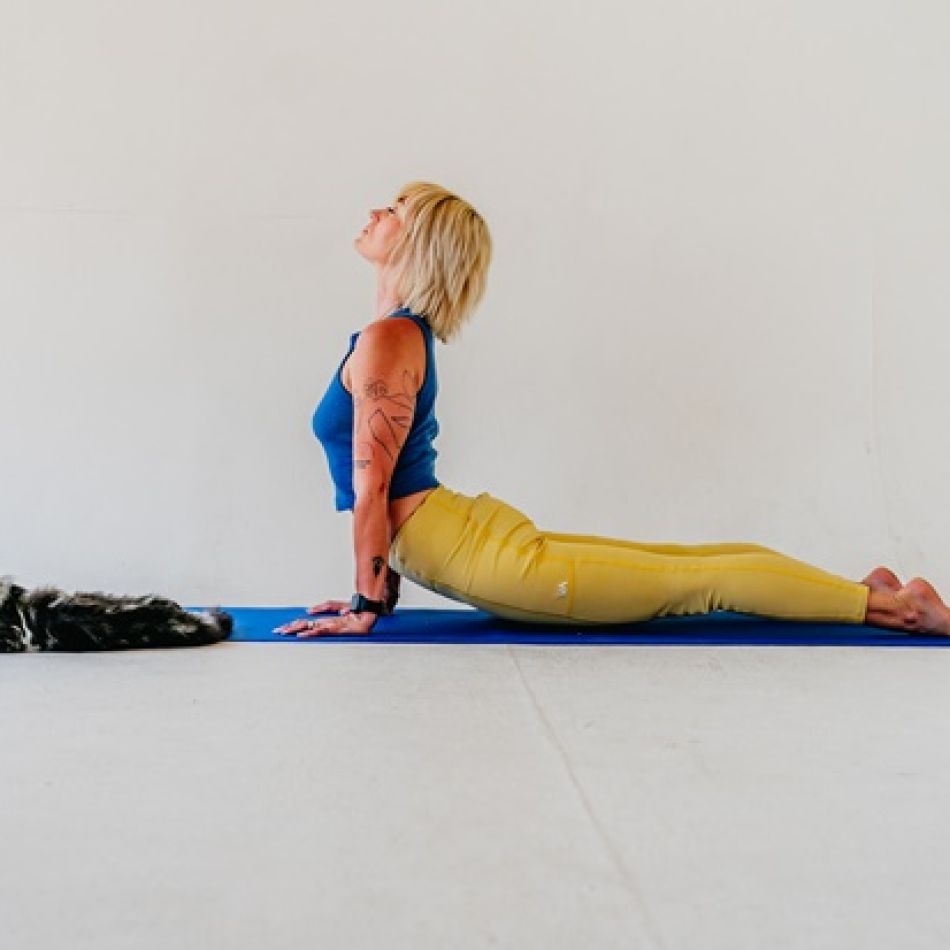 Pet Yoga: Beneficii pentru sănătatea ta și a animalului de companie