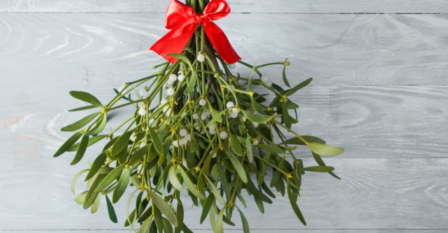 Cele patru proprietati miraculoase ale vascului