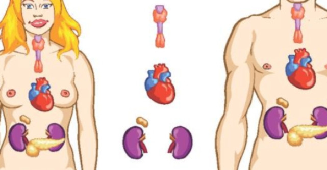 Ce trebuie sa stii despre afectarea glandelor paratiroide