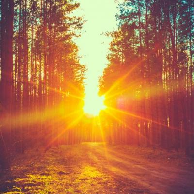 Cele 10 Porunci care sa te ghideze in viata