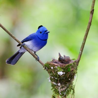 Ce este in sufletul tau? Cea mai frumoasa lectie de viata