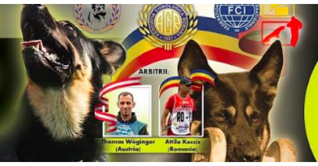 Campionatul Național Utilitar 2025: Competiția Elitei în Dresaj Canin