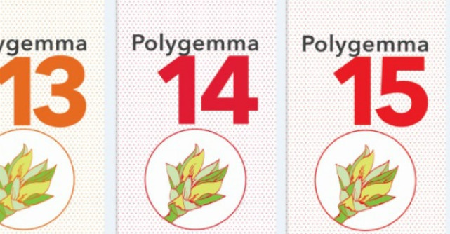 Prietenoase si sanatoase, produsele Polygemma de la PlantExtrakt au acum ambalaje noi