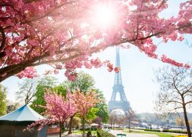 Sakura în Europa. 7 destinații europene unde românii pot admira cireși înfloriți ca în Japonia