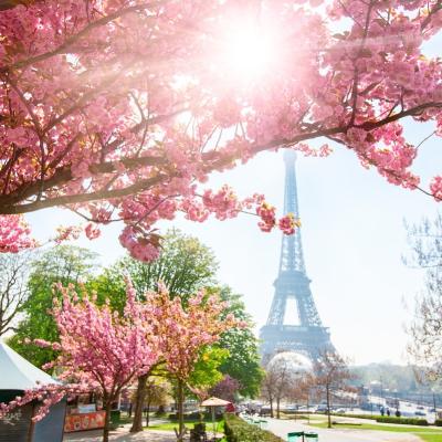 Sakura în Europa. 7 destinații europene unde românii pot admira cireși înfloriți ca în Japonia