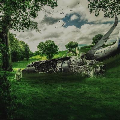 Misterul accidentului aviatic din 28 decembrie 1989: Ce documente secrete despre Revoluție ar fi existat la bord?