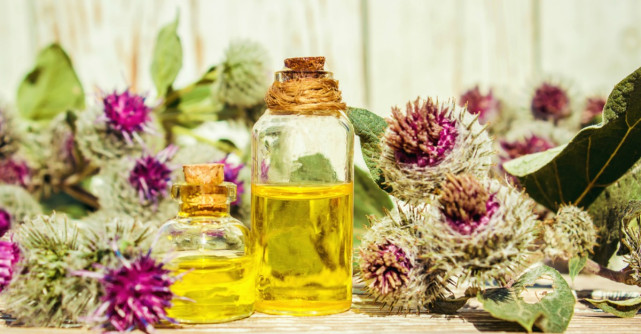 Cele mai bune tincturi pentru sanatatea stomacului