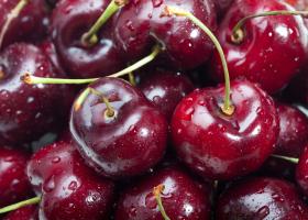 Vișinată rețete - Cum să prepari cea mai gustoasă vișinată de casă