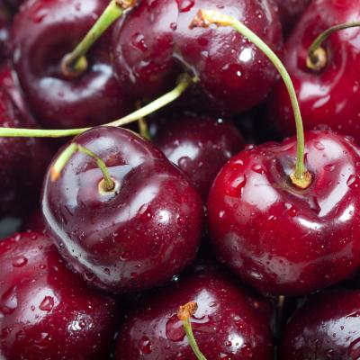 Vișinată rețete - Cum să prepari cea mai gustoasă vișinată de casă