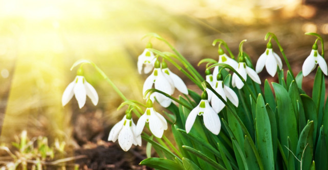 Semnificația babelor de la 1 la 9. Ce număr ai ales?