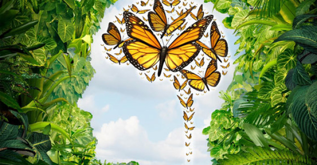 10 Informatii INCREDIBILE despre CREIERUL tau - iata ce spun specialistii