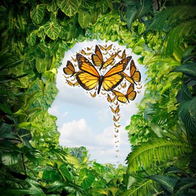 10 Informatii INCREDIBILE despre CREIERUL tau - iata ce spun specialistii