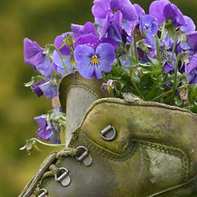 Cum porti trendul military intr-un stil feminin