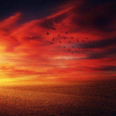 8 Mantre care te vor ajuta să aduci curajul în viață ta