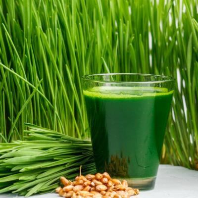 Sucul din grau verde: beneficii pentru sanatate