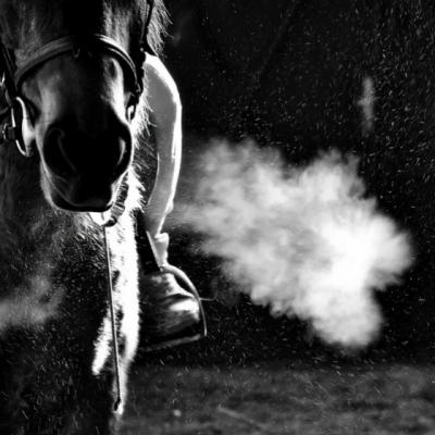 Tu pentru cine lupti in aceasta viata?