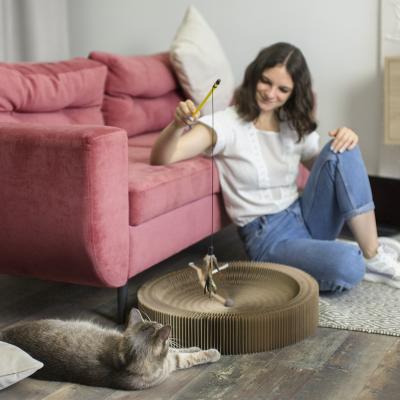 5 accesorii pentru pisica ta