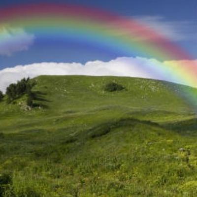 Petrece luna de miere in cele mai Eco orase din lume
