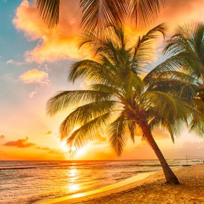 Trei lecții de viață prețioase de la locuitorii insulei Barbados