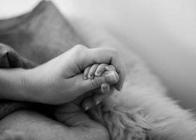 Poezii pentru mama de 8 martie - Cele mai frumoase versuri pentru cea mai iubită ființă