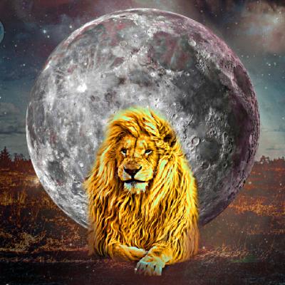 Luna Nouă în Leu de pe 8 august ne învață că niciodată nu-i prea târziu să o luăm de la capăt