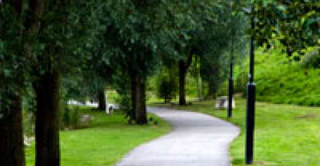 O plimbare in natura poate imbunatati memoria de scurta durata cu 20%